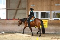 28-ApHC OT_319